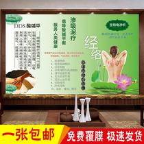 DDS bioelectrical physiotherapy principle and function poster poster poster propaganda picture health Hall conditioning adaptation to contraindications advertising map