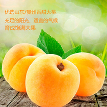 Dried yellow peach 80g small package peach dried fruit candied fruit candied salt Jin snacks bulk fruit dried fruit