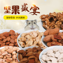 Pet snacks Nuts molars supplies storaghouse squirrel food snacks ChinChin squirrel Dutch pig snacks nuts