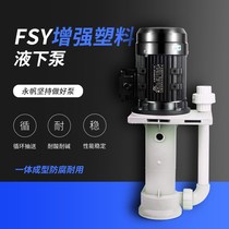 Plastic Chemicals Pumps Seawater Sulphuric Acid Corrosion Protection Pumps Hydrochloric Acid Pumps Vertical acid-base liquid Lower pump pumping water