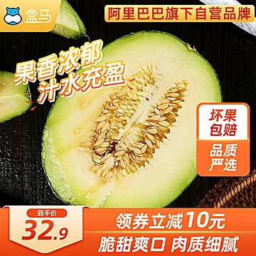 【盒马】山东蜜龙网纹瓜4.5斤（约2-3个）[15元优惠券]-寻折猪