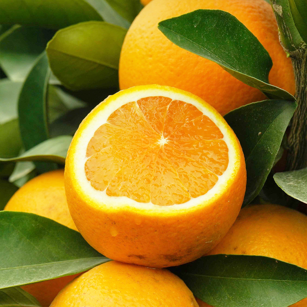 盒马鲜生旗舰店广西红橙3斤