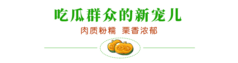 吃瓜群众的新宠肉质粉糯栗香浓郁-推好价 | 品质生活 精选好价