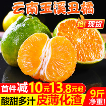 Yunnan Yuxi ugly orange 9kg seasonal fresh fruit early mature Orange does not know the fire ugly eight strange rock sugar orange