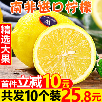 South Africa imported yellow lemons 10 large fruits Fresh seasonal fruits are now picked thin skin juicy fresh lime