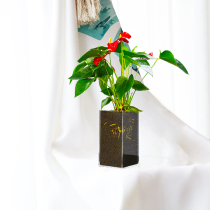 Crystal desktop vase small fresh hydroponic acrylic flower modern minimalist living room home decoration flower pot ornaments