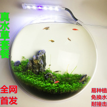 3d three-dimensional wall stickers wall decoration wall hangings vase micro-view living room home accessories fish tank wall hydroponic flower device