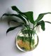 European vase home living room decorations aquaculture flower container 3d three-dimensional wall sticker green plant gardening flower pot flower European vase home living room decorations aquaculture flower container 3d three-dimensional wall sticker green plant gardening flower pot flower