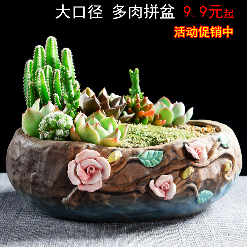 Large diameter contracted creative meaty plant flower pot wholesale ceramic purple sand flowerpot Large indoor flesh flower pot