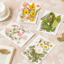 Handmade DIY dry flower air-dried natural material bag embossed specimen applid with decorative creative picture frame applid to dry flower makeup