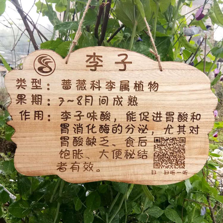 定制实木防水树牌 花园装饰木挂牌 幼儿园树木认养牌插地木牌雕刻
