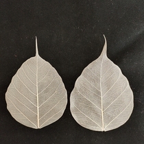 Leaf embroidery special treatment can be embroidered Bodhi leaf diy blank leaves