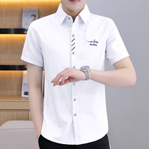 Spring Summer sashimi short sleeve shirt male Korean version Trend casual 100 lap embroidery white inch shirt thin blouse autumn