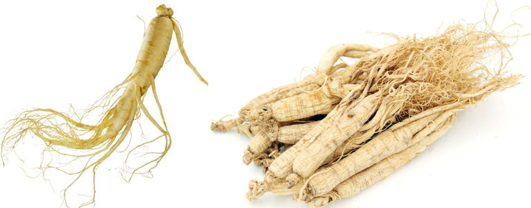 集木空气能热泵烘干机 人参低温烘干机 圆参药材干燥脱水设备