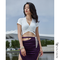 Magnificent Solo Show Belly Dance Beginners Practice short sleeves Deep V blouses Half Body Triangle Skirt Suit Women Dance Suit