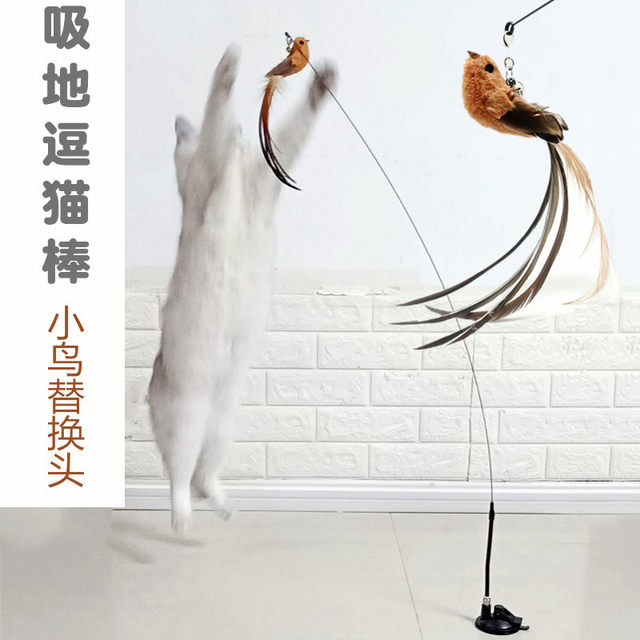 Funny stick cat feather bird replacement head bite-resistant with bell homemade steel wire fight cat stick diy material advanced accessories