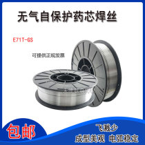 Airless self-protection welding wire E71T-GS flux cored welding wire 5 kg two-protection welding machine without air self-protection welding wire 1 0