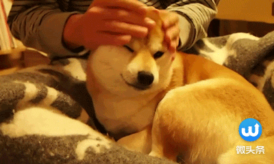 哪些值得买?