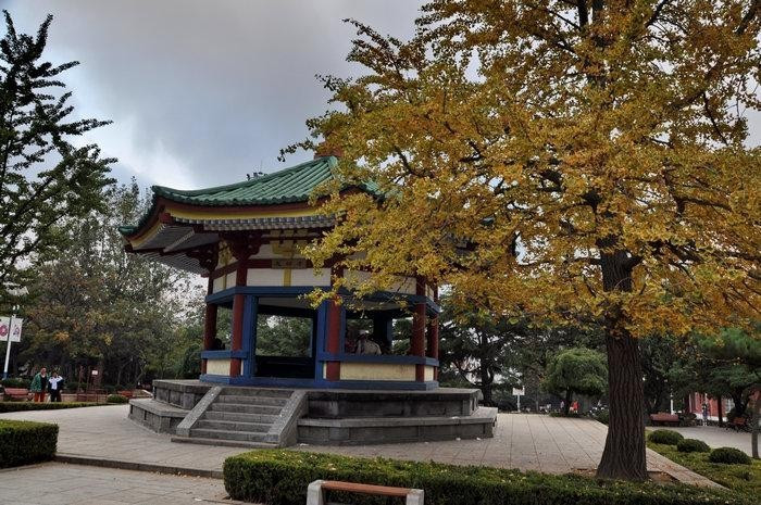 中山公园