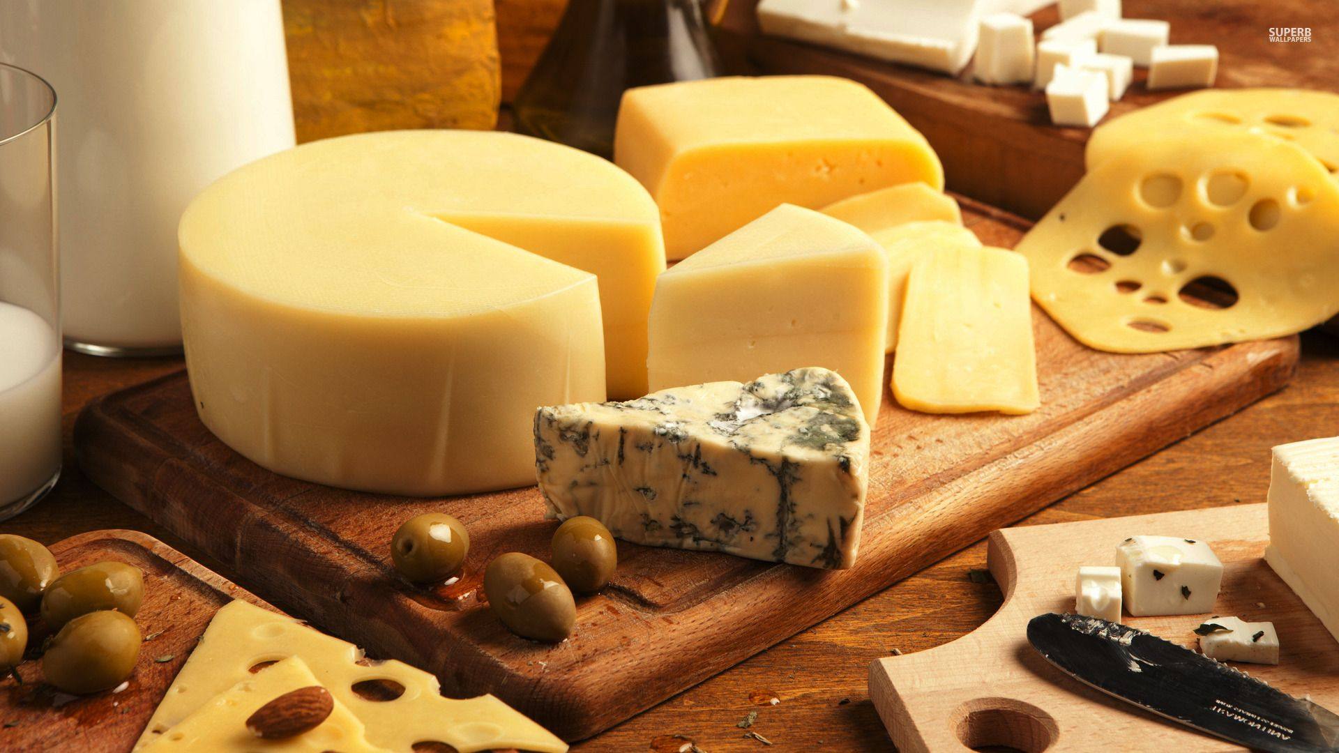 法国文学家培根说:芝士就是力量