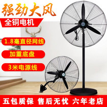 Vertical powerful electric fan High-power kitchen industrial-grade large wall-mounted external mosquito repellent flies set up stalls(