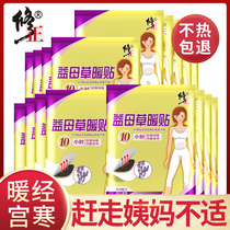 Fixed Warm Patch Motherwort Menstrual Warm Treasure Patch Baby Sticker Self Fever Great Aunt Post Self Fever Sticker Warm Patch