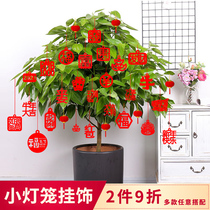 Bonsai fortune tree Big red small lantern hanging decoration Year of the Ox housewarming interior moving decoration decoration pendant