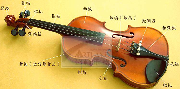 金音正品小提琴儿童练习考试学生初学入门者首选进口配件出口产品