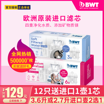 German BWT WATER PURIFICATION POT FILTER CARTRIDGE FILTER KETTLE FILTER ELEMENT IMPORT ADD MAGNESIUM ION FILTER CORE TO WATER SCALE FILTER CORE