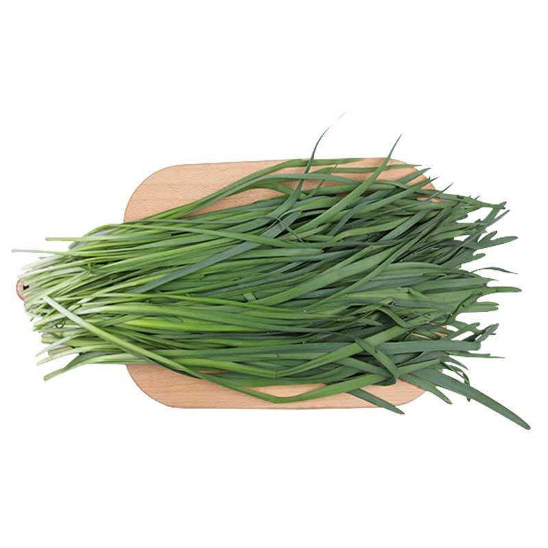 小汤山韭菜约250g新鲜蔬菜基地自产现采现发安全可追溯