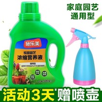 Plants flowers indoor fertilizers nutrient solutions universal potted flowers green dill water nourishing seedlings rooting getting rich tree green