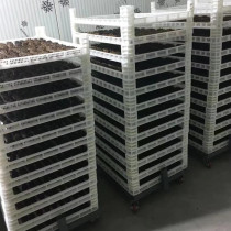 Golden Phoenix 600 plastic single freezer drying plate drying plate Butterfly surface sea cucumber blueberry wolfberry plate can be increased