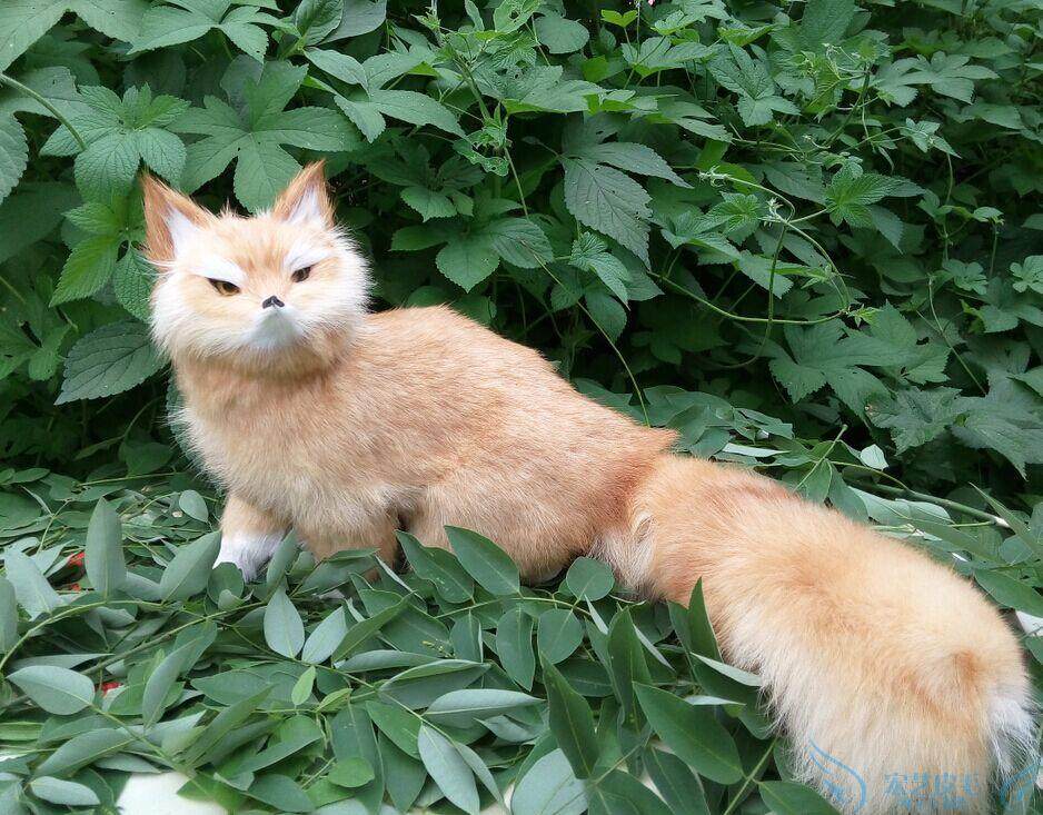 仿真金狐狸 纯手工工艺 仿真狐狸 狐狸摆件大号狐狸促销