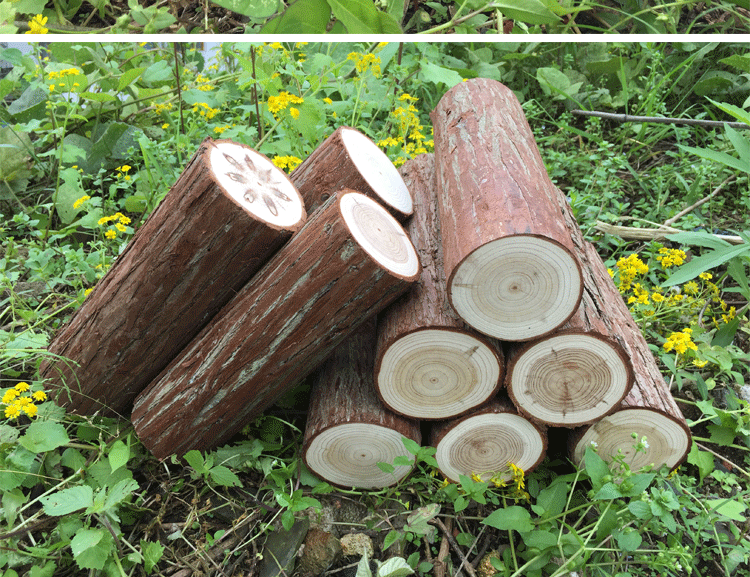实木带皮圆木片壁炉装饰木柴树桩木材原木装饰木头杉木桩摆件道具