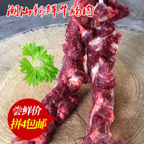Rudeo Chaoshan Fresh Beef Brisket Meat 250 gr raw beef yellow beef red braised beef Belly Radish Beef BBQ Barbecue Hotpot