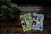 Small Lotus theme creative newspaper clippings(minimum order of 10)