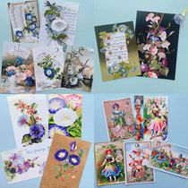 Several selected cow - flower to the color photo sticker antique postcard retro - recording hand recording prop background