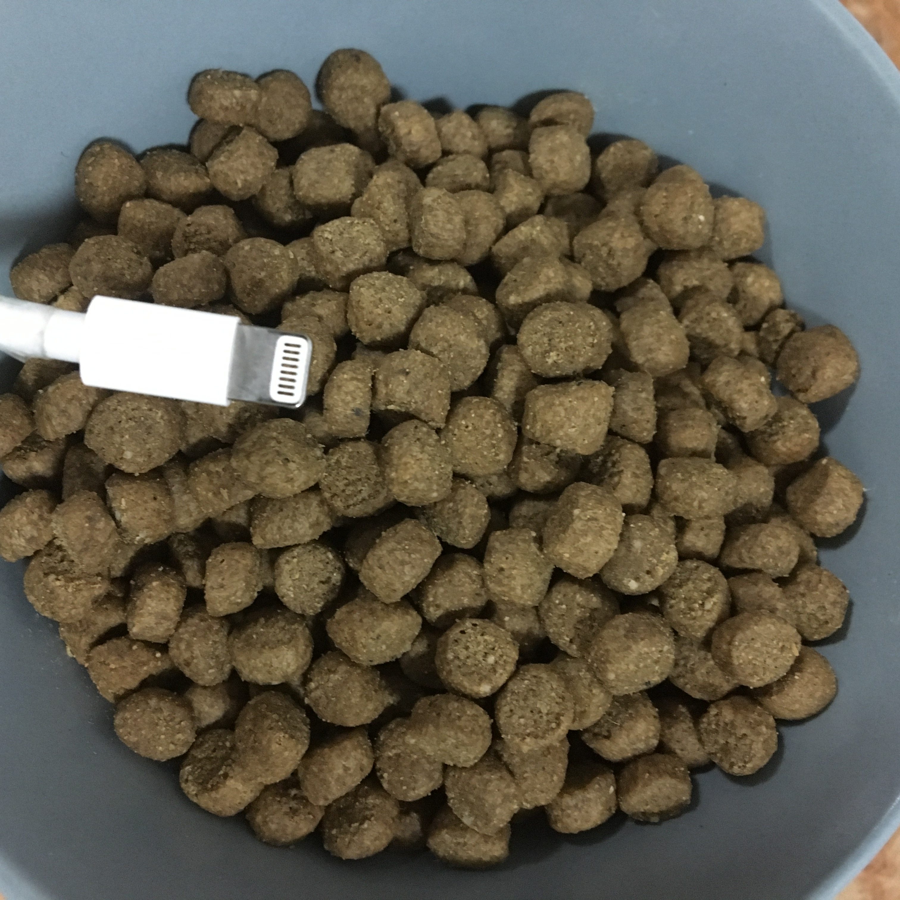 天衡宝(原雪山)美国进口室内猫粮测评