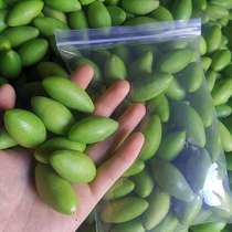 Chaoshan fresh green olive sweet crisp no slag taste good 1 variety origin origin straight hair 500g sweet but not sweet
