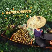 The freight to fill the post