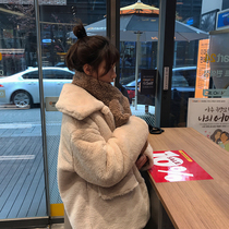 2021 winter new fashion imitation rabbit fur grass coat female long Korean loose thickened warm plush coat