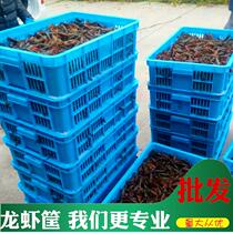 Lobster transport basket lobster basket crayfish basket with lid lobster frame blue frame large frame plastic frame turnover frame wholesale