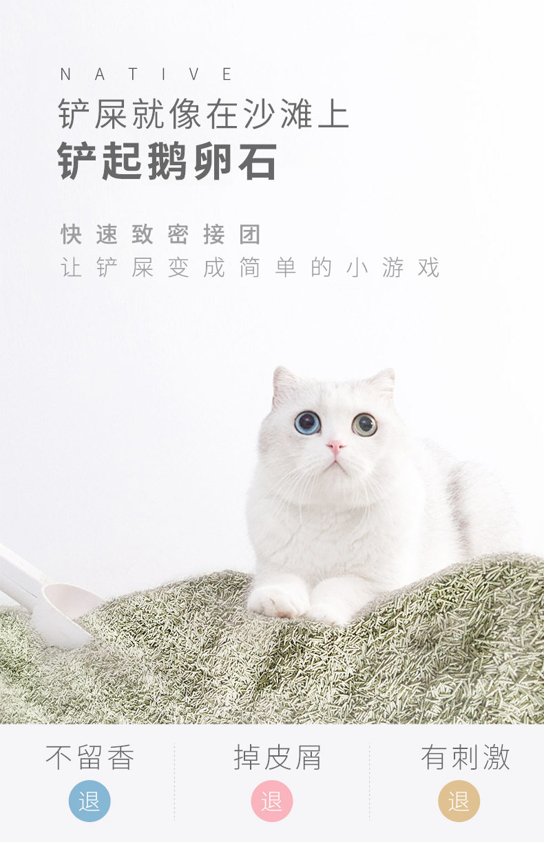 Cat Sand_06.jpg