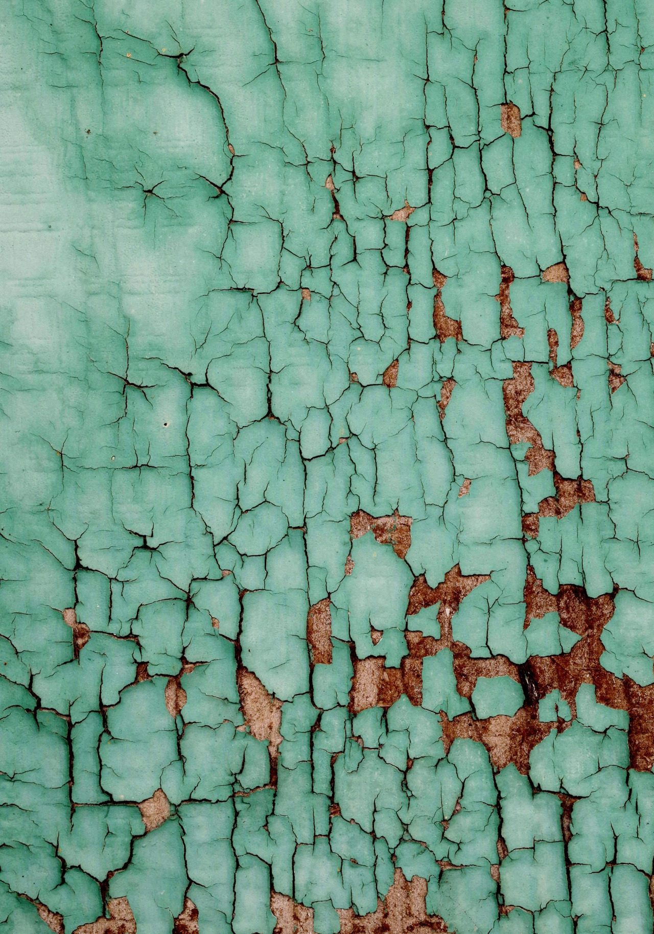 vip丨自然艺术纹理参考-图案图库 - 灵感邦_ideabooom