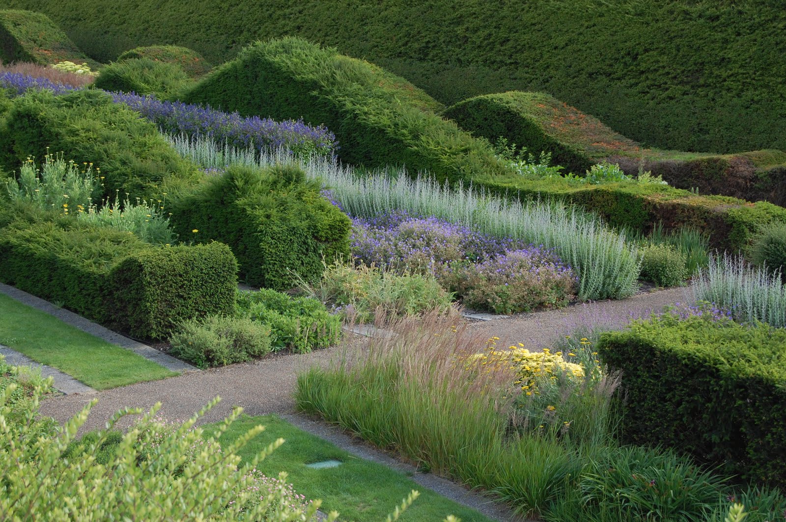 景观植物绿化绿篱设计参考