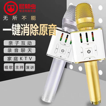 Fart bug X30 mobile phone wireless microphone National K song microphone comes with audio All-in-one Bluetooth singing treasure artifact
