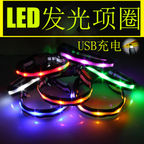 LED Luminous Pet Cat Dog Item Ring Small Middle Large Canine Labrador Teddy Night Flash Dog Circle Neck Ring