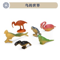 Psychological Sand Pan Sand Furniture Fly Bird Species Old Eagle Peacock Peck Woodpecker Pigeon Parrot Owl Emulated Bird Model