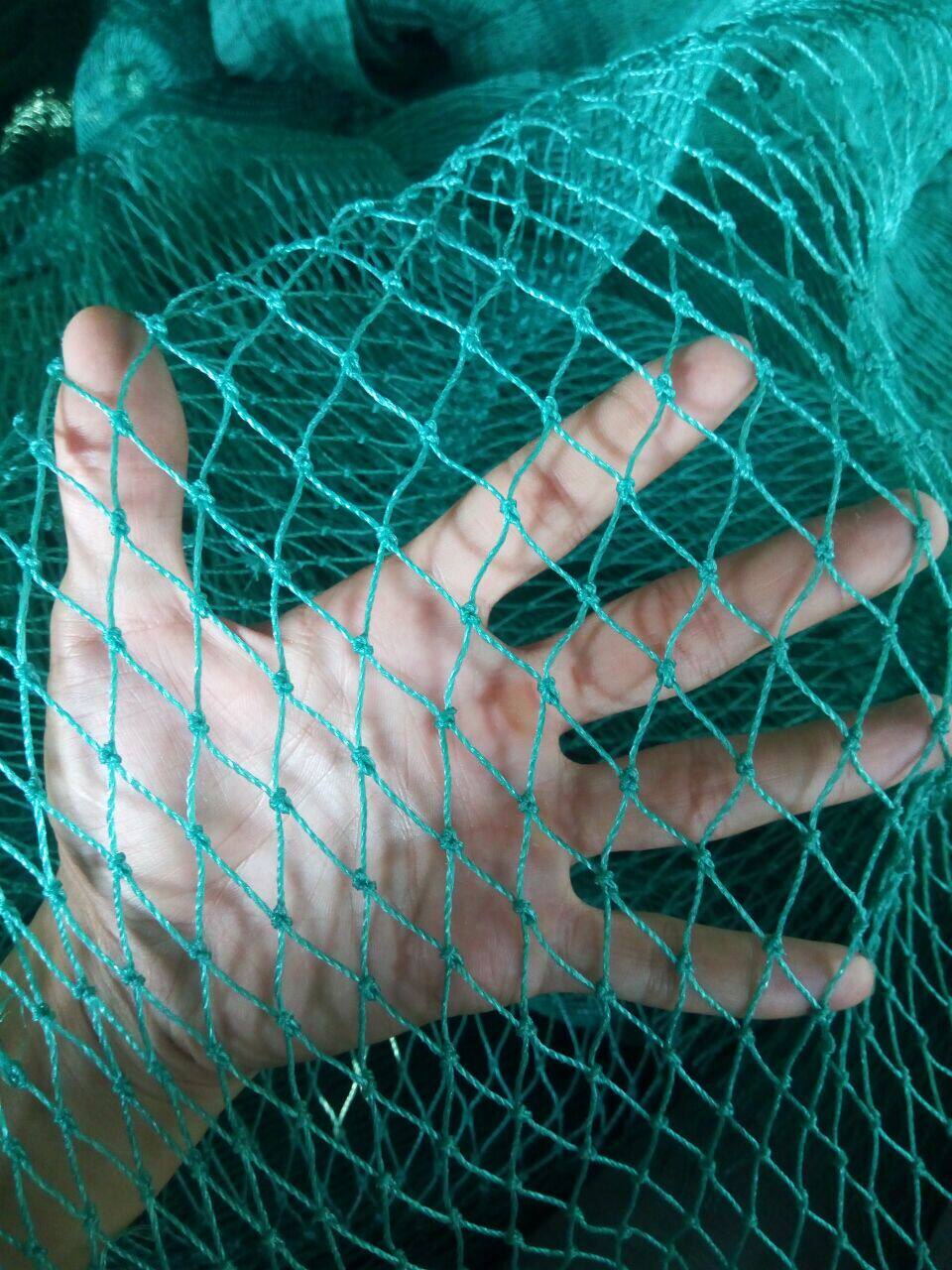 鱼网网片拉网 养殖网 渔网 聚乙烯网片 尼龙网 捕鱼网布 有结网_双氙