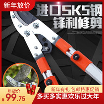 Imported fruit trees Telescopic shears Japanese pruning shears branches Greening flowers gardening scissors garden tools